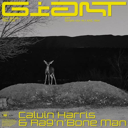 CALVIN HARRIS & RAG'N'BONE MAN - GIANT (ROBIN SCHULZ RMX)
