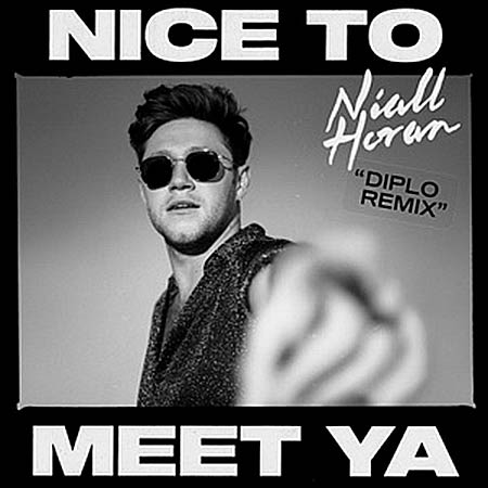 Niall Horan - NICE TO MEET YA (DIPLO REMIX)