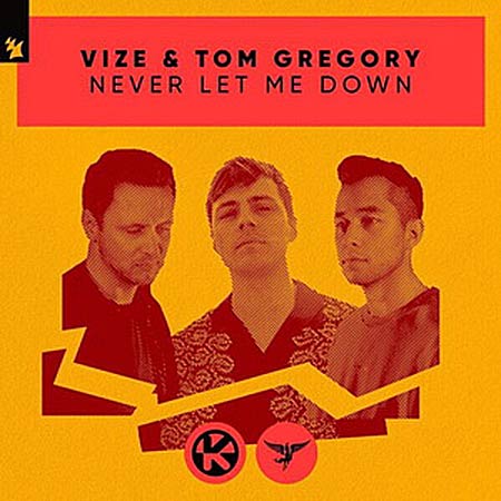 VIZE feat. Tom Gregory - Never Let Me Down