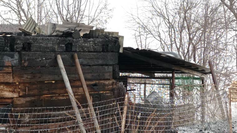 В Нижнекамском районе 15 кур сгорели во время пожара