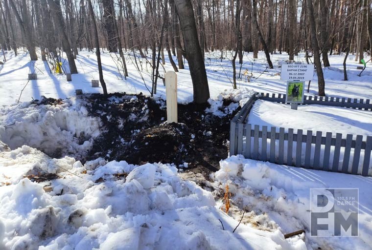 В Нижнекамске установили импровизированный мемориал в память о погибших животных