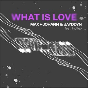 Max+Johann & Jayddyn feat. indiigo - What Is Love