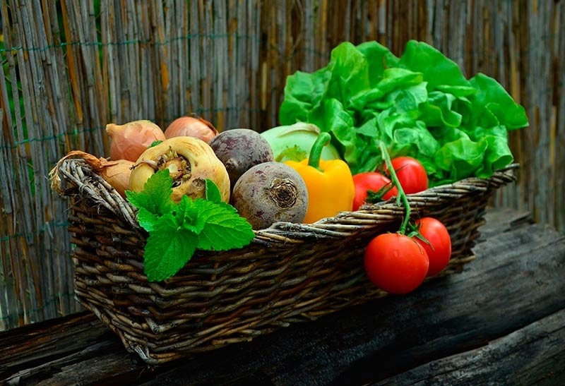 В РТ специальная группа будет мониторить цены на овощи