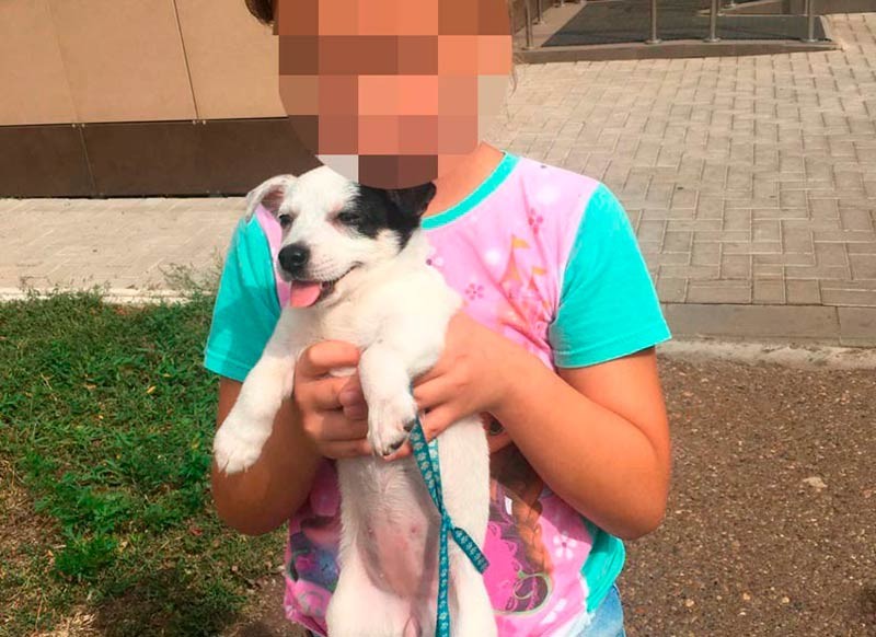 В Нижнекамске маленькая девочка ищет дом щенку