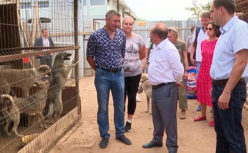 Мэр Нижнекамска посетил приюты для животных