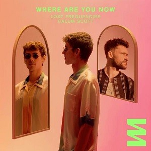 Lost Frequencies & Calum Scott - Where Are You Now  (Amice Remix)