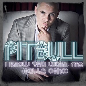 Pitbull - I Know You Want Me (Calle Ocho) (Leo Burn Remix)