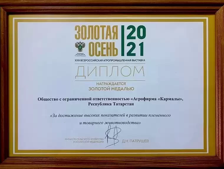 Фермеры из Нижнекамска получили награду в Москве
