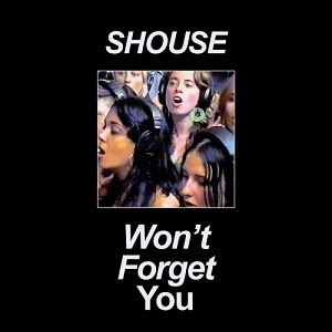 Shouse - Won't Forget You (DJ Dark & Mose N Remix)