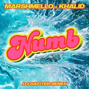 Marshmello, Khalid - Numb (DJ Safiter Remix)