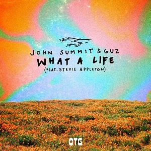 John Summit & GUZ feat. Stevie Appleton - What A Life
