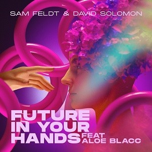 Sam Feldt & David Solomon feat. Aloe Blacc Future - In Your Hands