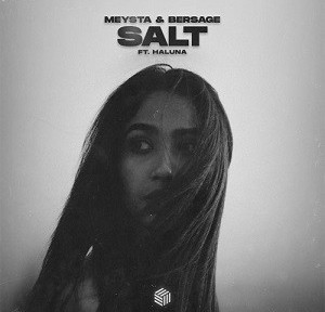 MEYSTA & Bersage feat. HALUNA - Salt