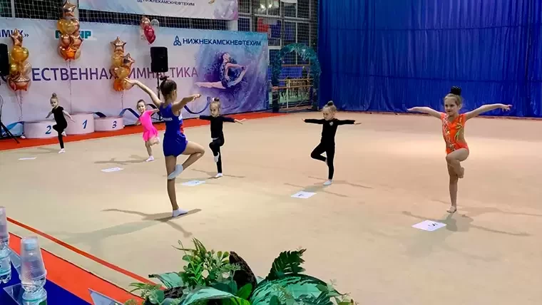 В Нижнекамске прошёл открытый турнир по художественной гимнастике