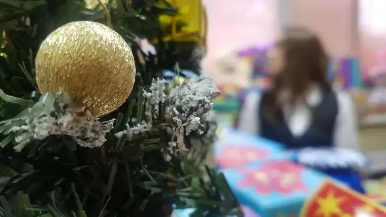 Минлесхоз: в Татарстане падает спрос на живые новогодние ёлки