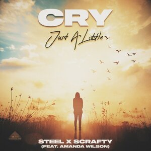 STEEL x SCRAFTY feat. Amanda Wilson - Cry (Just A Little)