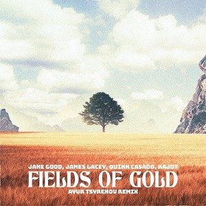 Jane Good, James Lacey, Quinn Casado feat. Kajot - Fields Of Gold (Ayur Tsyrenov Remix)
