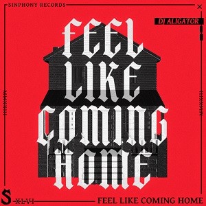 DJ Aligator feat. ILIRA - Feel Like Coming Home