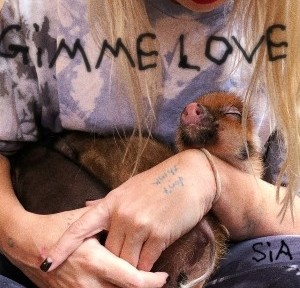 Sia - Gimme Love