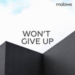 malowe - Won't Give Up