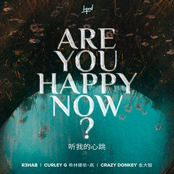 R3HAB, Crazy Donkey - Are You Happy Now