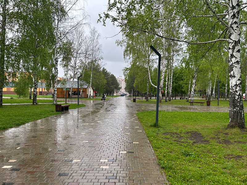 Расписание бесплатных тренировок в парках Нижнекамска