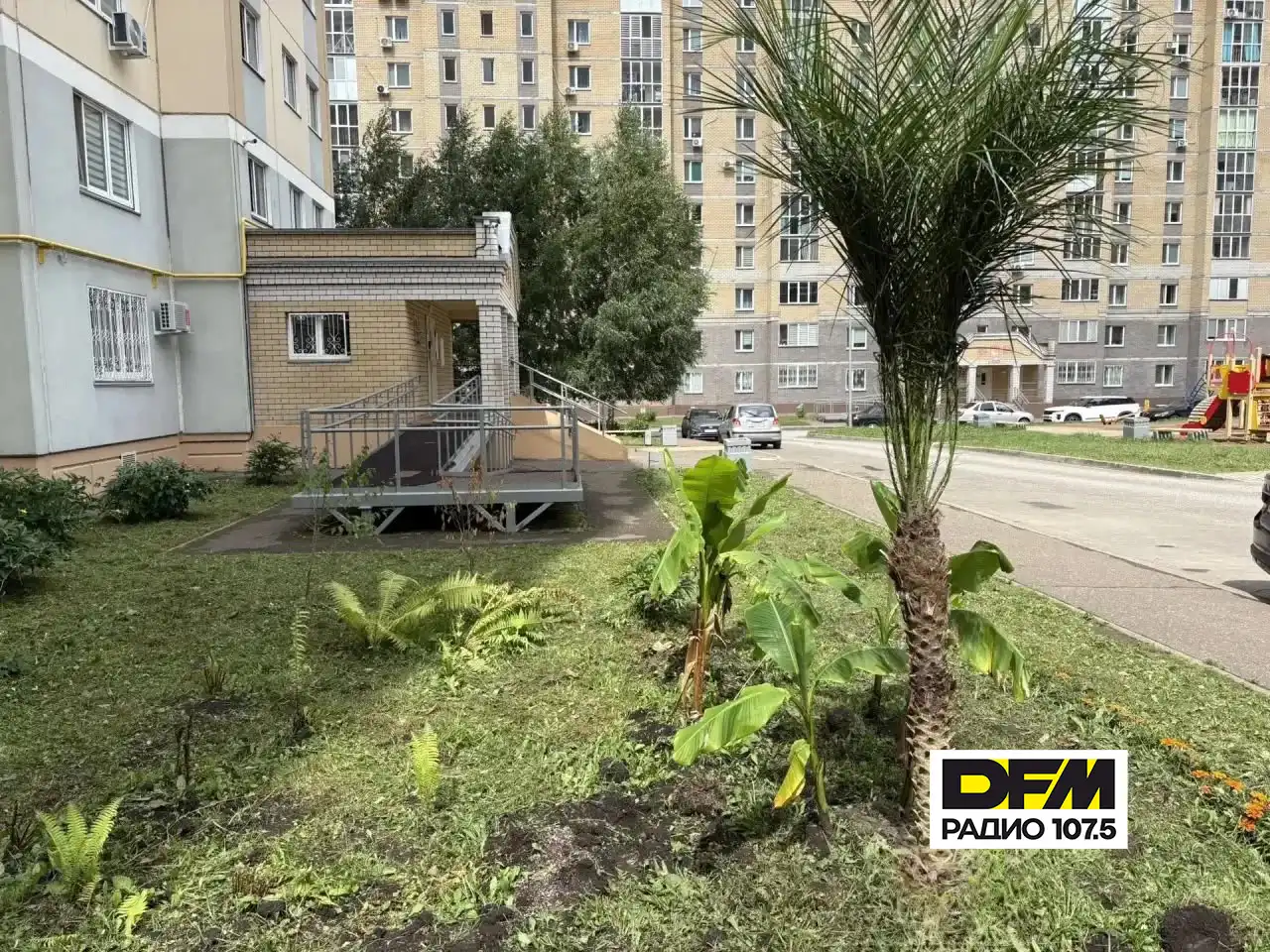 Нижнекамская пальмовая роща пополнилась новым «жителем»!